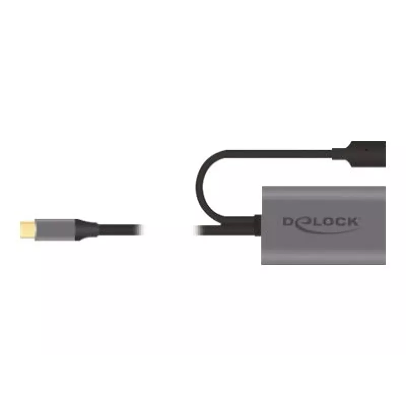 Delock USB-20225 barošanas adapteris pelēks