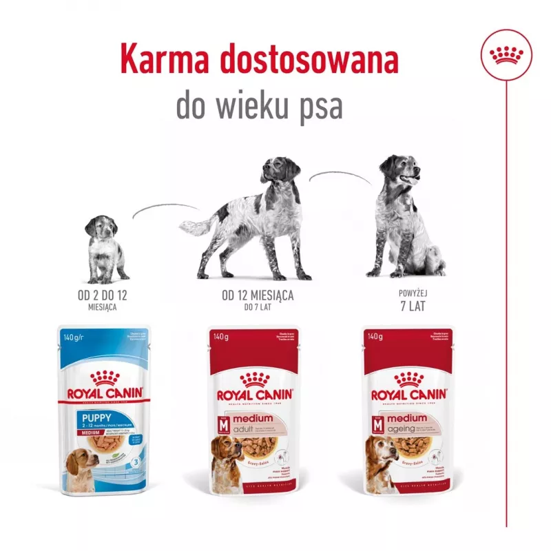 ROYAL CANIN SHN Medium Adult mērcē - mitrā barība pieaugušiem suņiem - 10x140g