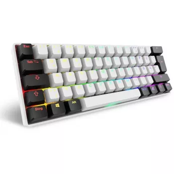 Sharkoon SGK50 S4 tastatūra Mājas USB QWERTZ Vācu Balta RGB LED 60%