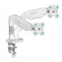 Sienas stiprinājums ONKRON G160-W 13–32 collu monitoriem, balts, fiksēts slīpums, VESA 75x75–100x100