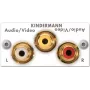 KIND Connection Plate White 7444AZA530 Video/Audio L/R 50x50 1/2 1 (7444AZA530)