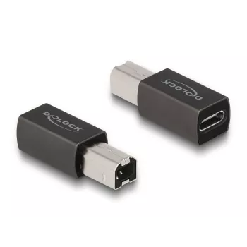 DeLOCK USB 2.0 adapteris, USB Type-C (sievišķais) uz Type-B (vīrišķais), 65839