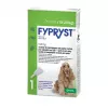 FYPRYST 134mg M (10-20kg) - pilieni pret blusām un ērcēm suņiem – 1x1,34ml