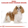 Sausā suņu barība Royal Canin Cavalier King Charles Adult 1.5 kg — Vistas gaļa, mazās šķirnes, āda un apmatojums, sirds atbalsts