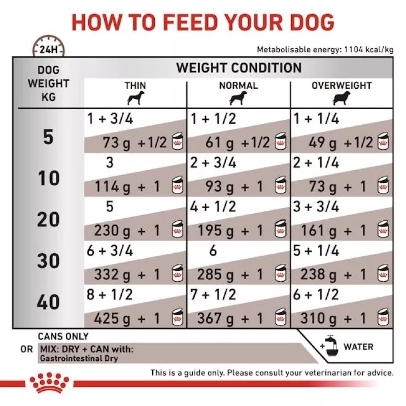 Konservēta veterinārā diēta Royal Canin Gastro Intestinal 200 g — pieaugušiem suņiem, mājputnu gaļa, gremošanas atbalsts