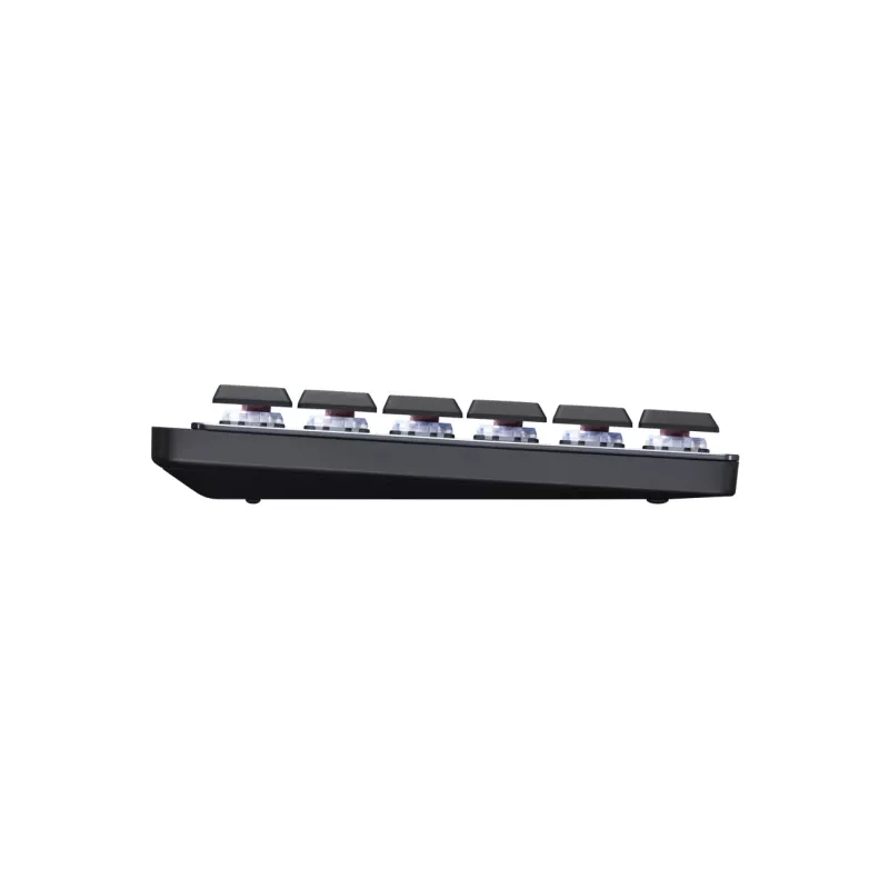 Logitech Master Series MX Mechanical - Tastatūra