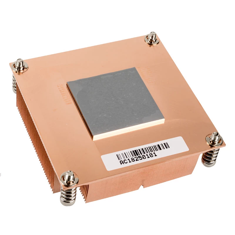Silverstone SST-XE01-2011 serveris
