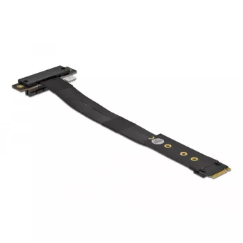 M.2 Key M uz PCIe x4 NVMe adapteris DeLOCK 64132