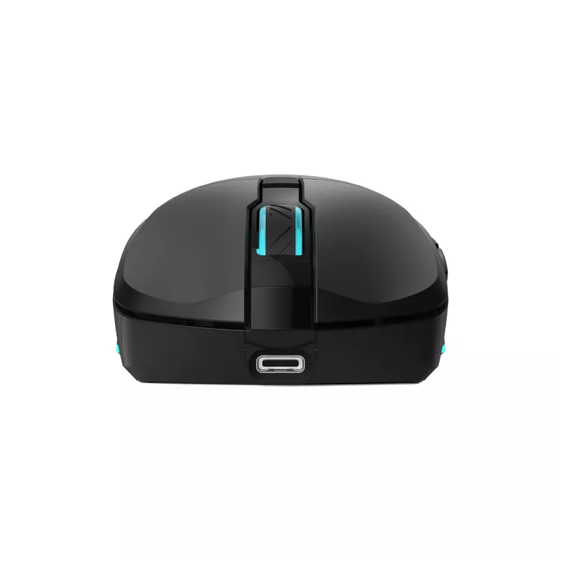 Pele Baracuda BGM-121 Turtle Melns USB