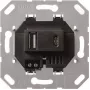 Gira USB-Spannungsversorgung 2-f. Type A/C Insert 236900 (236900)