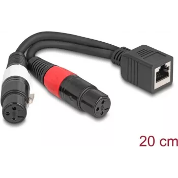 DeLOCK 88178 audio kabelis 0,2 m RJ-45 2 x XLR (3 kontaktu) melns