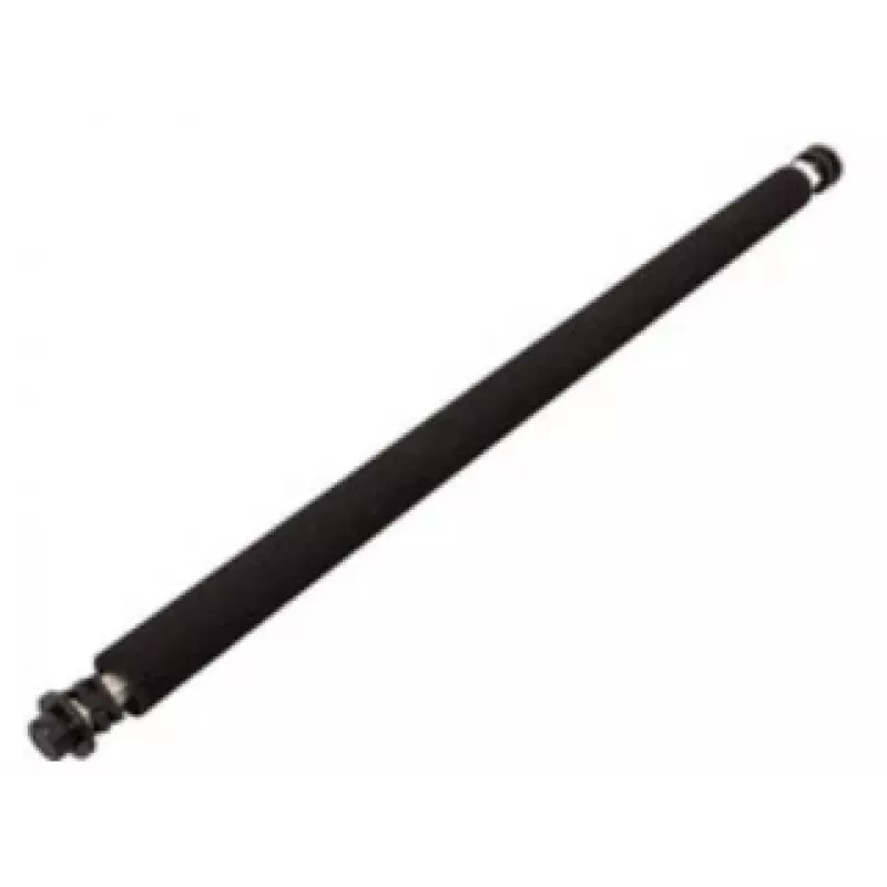 Ricoh B0393820 printera/skanera rezerves daļa/piederums veltnis