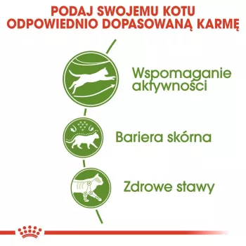 Royal Canin Outdoor sausā kaķu barība 2 kg