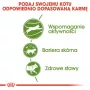 Royal Canin Outdoor sausā kaķu barība 2 kg
