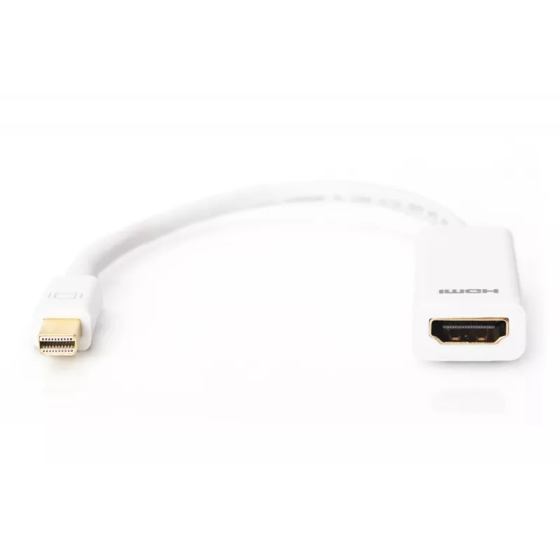 DisplayPort adapteris Digitus AK-340404-001-W