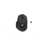 Natec Wireless pele Siskin 2 BT 5.0 + 2.4GHZ