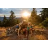 Ruffwear Front Range XS zils poliesters