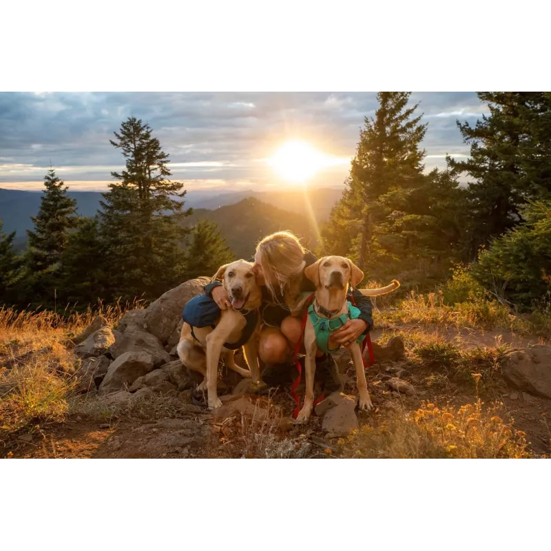 Ruffwear Front Range XS zils poliesters