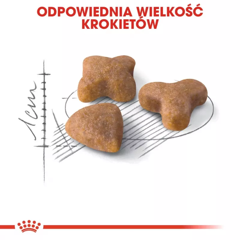 Sausā kaķu barība Royal Canin Sensible 33 4 kg — pieaugušiem kaķiem, mājputnu gaļa un rīsi, olbaltumvielas 33%, tauki 22%