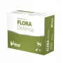 VetFood Flora Defense probiotiķis suņiem un kaķiem 30 kapsulas