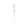 Apple USB-C uz Lightning kabelis (1 m)