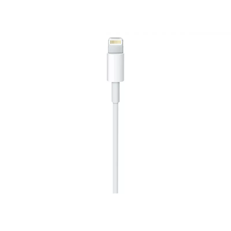 Apple USB-C uz Lightning kabelis (1 m)