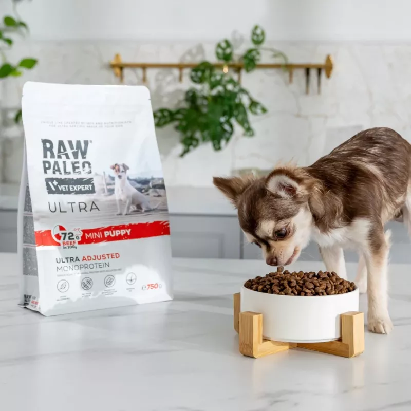 RAW PALEO Ultra Mini Puppy Beef - sausā barība mazo šķirņu kucēniem - 8 kg