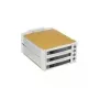 Fantec SNT-BA2131-2 - S-ATA 2x 13,30cm (5,25) 3x1 HDD smilškrāsas (2007)