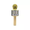 Mikrofons MANTA MIC10-G Gold kardioīds pārnēsājams — kardioīds kondensatora tipa, rokas dizains