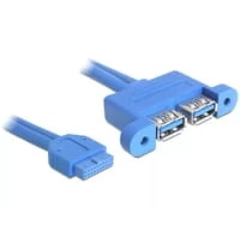 USB kabelis DeLOCK 82941 USB 3.2 Gen 1 0,45 m 2 x USB A zila