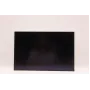 Laptop LCD display panel Lenovo 16.0 inch WUXGA IPS AG by AUO, rezerves ekrāns saderīgiem Lenovo modeļiem