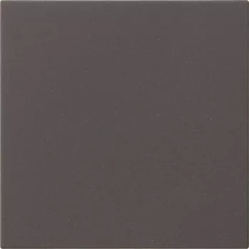 Gira 536028 Tīkla ierīce