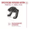 Mitrā kaķu barība Royal Canin FHN Ageing 11+ Gravy 12 × 85 g – pilnvērtīga mitrā barība senioriem paplātītēs
