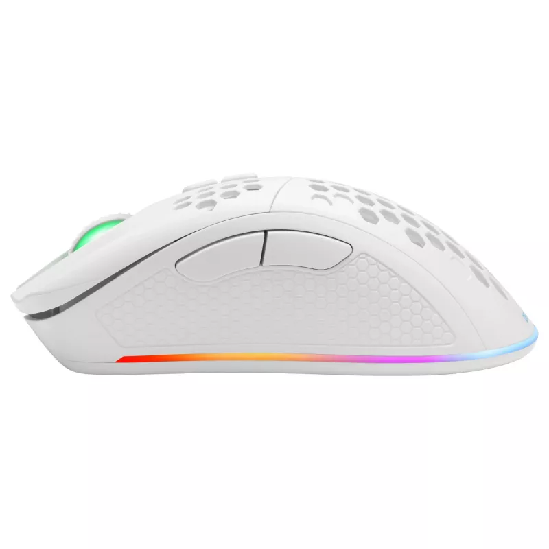 Spēļu pele Deltaco GAM-120-W RF Wireless USB Type-C