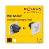 Kontaktligzda 2 x USB + CEE 7/3 DeLOCK 11473