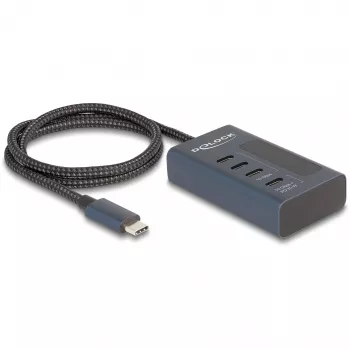 DeLOCK 64189 USB centrmezgls Type-C 10000 Mbit/s zils metāls
