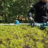 Makita DUN600L Double blade 3.4 kg