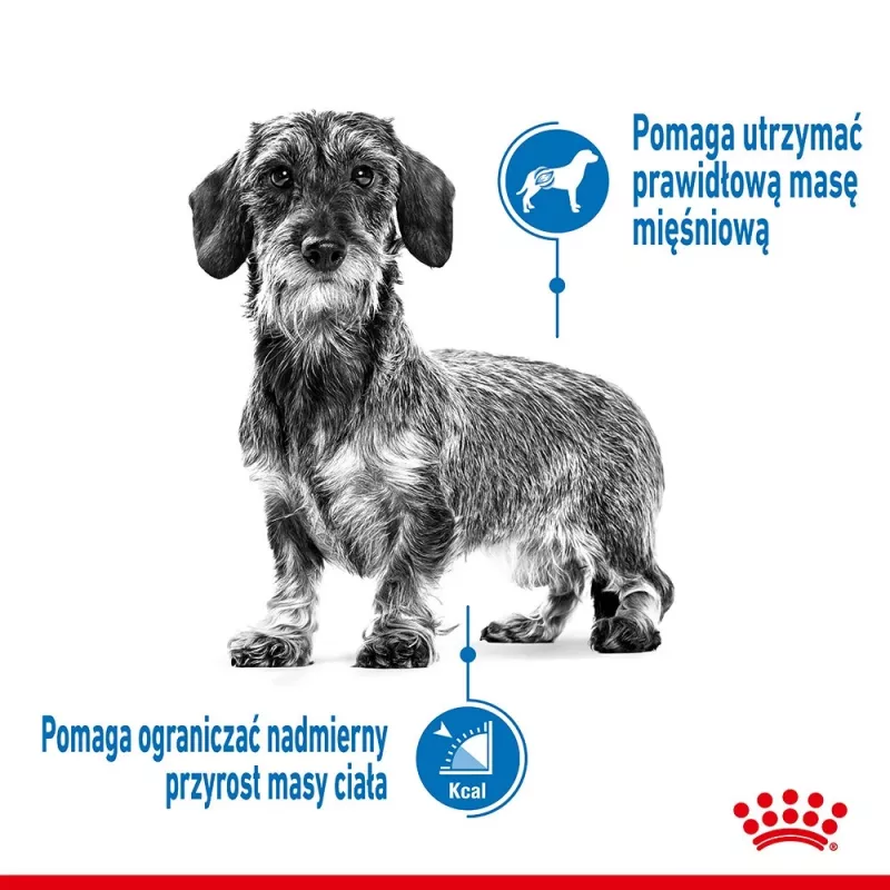 Royal Canin CCN MINI LIGHT WEIGHT CARE - sausā barība pieaugušiem suņiem - 3 kg