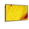 NEC MultiSync M651-2 Kioska dizains 165,1 cm (65 collas) LED 500 cd/m² 4K Ultra HD Melns Iebūvēts procesors