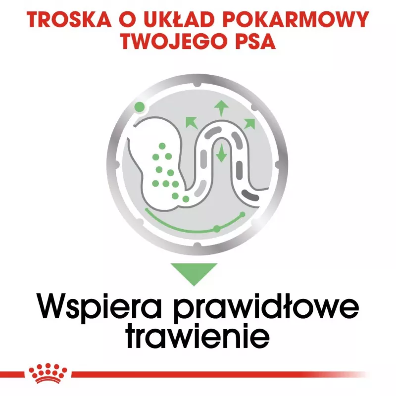 Mitrā suņu barība Royal Canin Digestive Care Gaļas & dārzeņu maisiņi 12 x 85 g — pieaugušiem suņiem, gremošanas atbalsts
