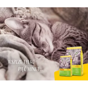 Sausā kaķu barība JOSERA SensiCat 10 kg — vista, 33% proteīns, 18% tauki, pieaugušiem kaķiem ar jutīgu gremošanu