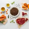 RAW PALEO Ultra Medium&Large Adult Adult Beef - sausā suņu barība - 10 kg