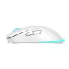 Baracuda BGM-122 Turtle balta TURTLE-W pele
