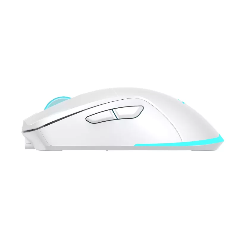 Baracuda BGM-122 Turtle balta TURTLE-W pele
