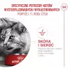Sausā kaķu barība Royal Canin FHN Ageing 11+ 4 kg — pilnvērtīga diēta vecāka gadagājuma kaķiem, mājputnu gaļa, 30% olbaltumvielu
