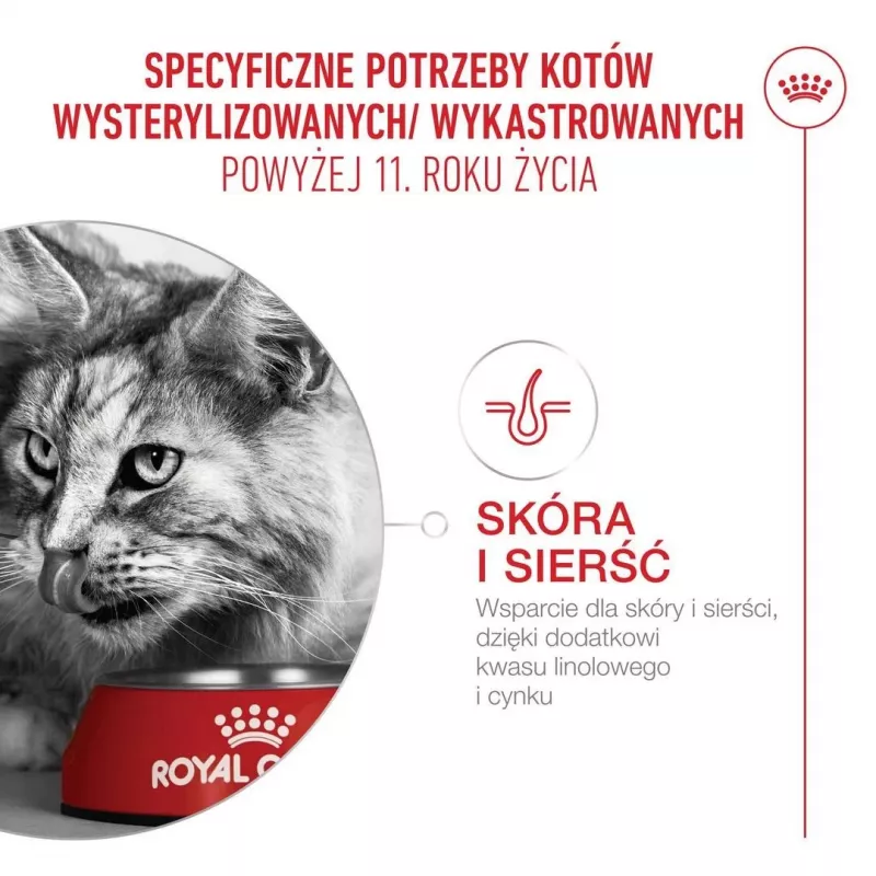 Sausā kaķu barība Royal Canin FHN Ageing 11+ 4 kg — pilnvērtīga diēta vecāka gadagājuma kaķiem, mājputnu gaļa, 30% olbaltumvielu