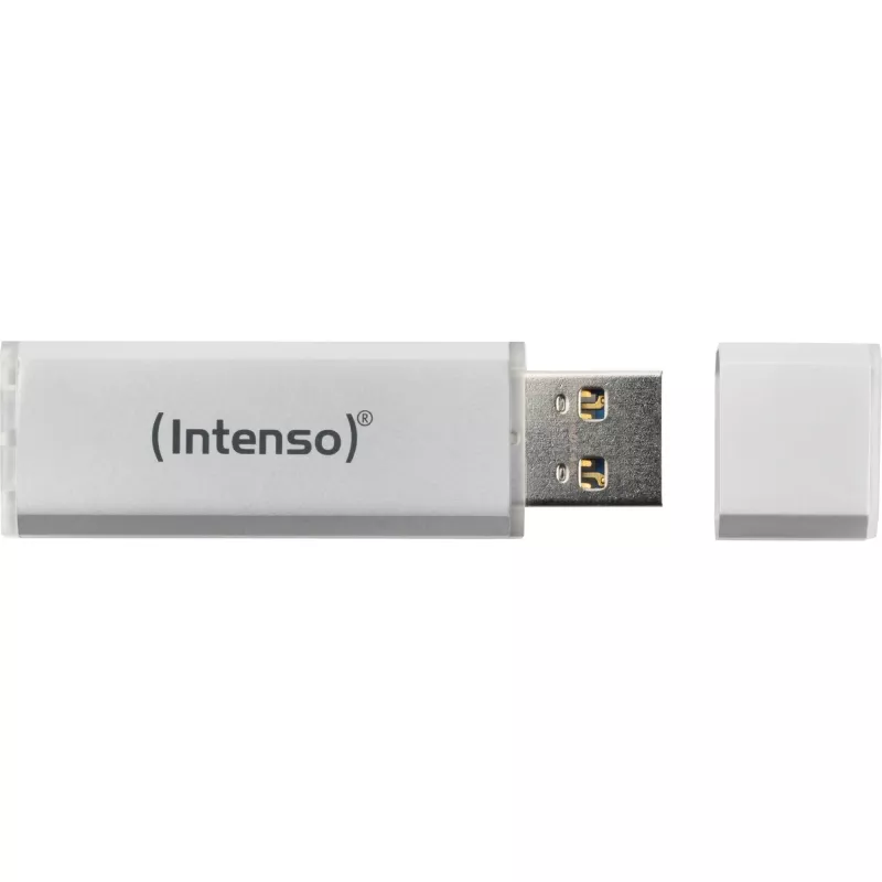USB zibatmiņa Intenso 256 GB USB Type-A 3.2 Gen 1 Sudraba