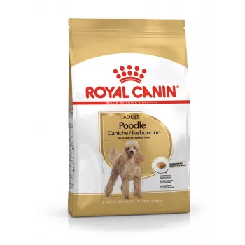 Sausā suņu barība Royal Canin Poodle Adult 1,5 kg — vista, 30% olbaltumvielas, 19% tauki