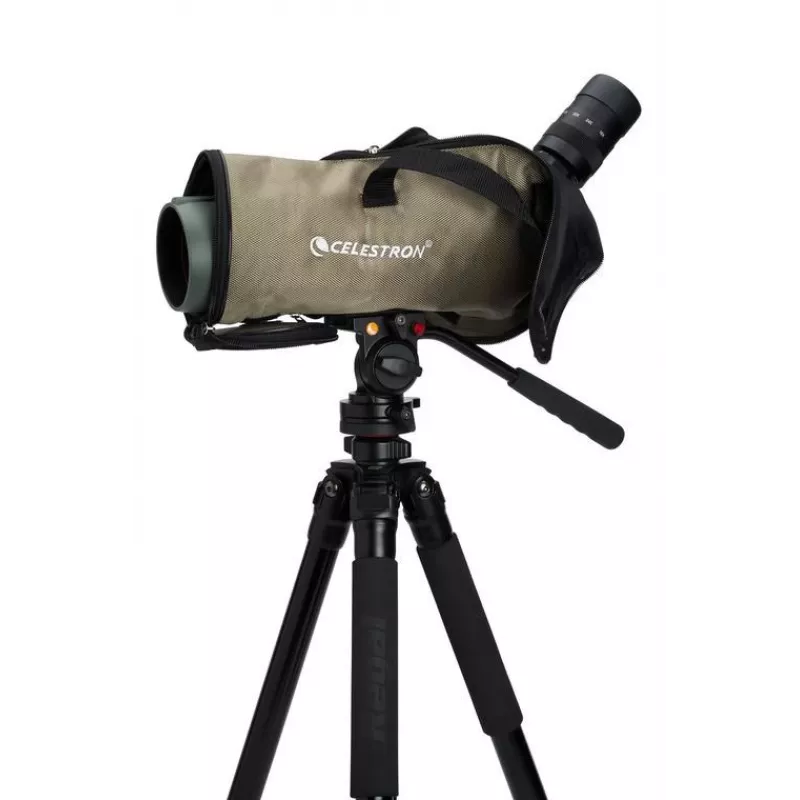 Celestron Regal M2 65ED novērošanas tālskatis 48x BaK-4 Melns, Zaļš