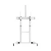 Sbox FS-3610 Grīdas statīvs īpaši lieliem LED televizoriem 60-100 100kg Balts